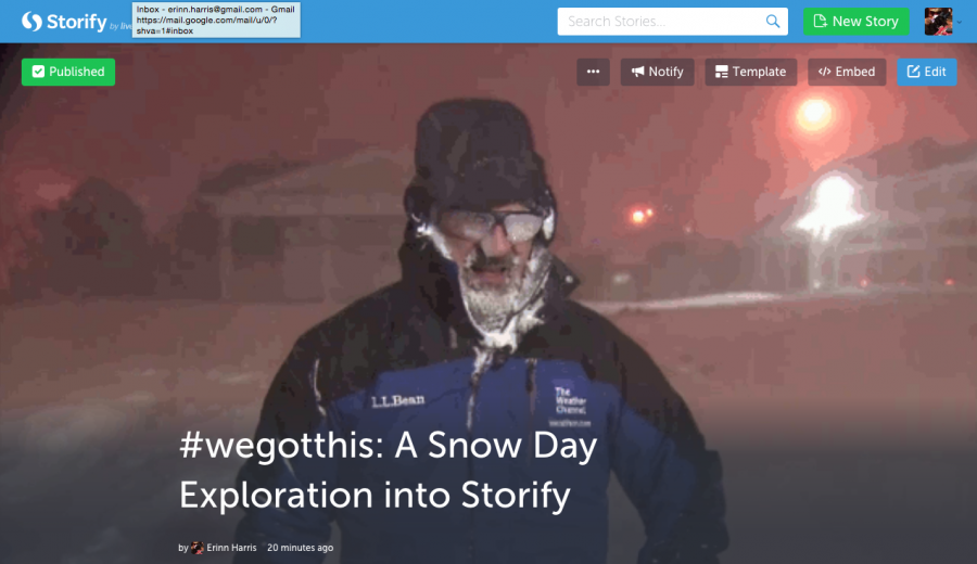 #wegotthis: A Snow Day Exploration into Storify