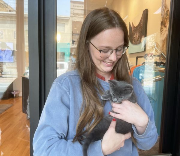 Kristen Rhodenizer (employee) holds kitten in display room. 