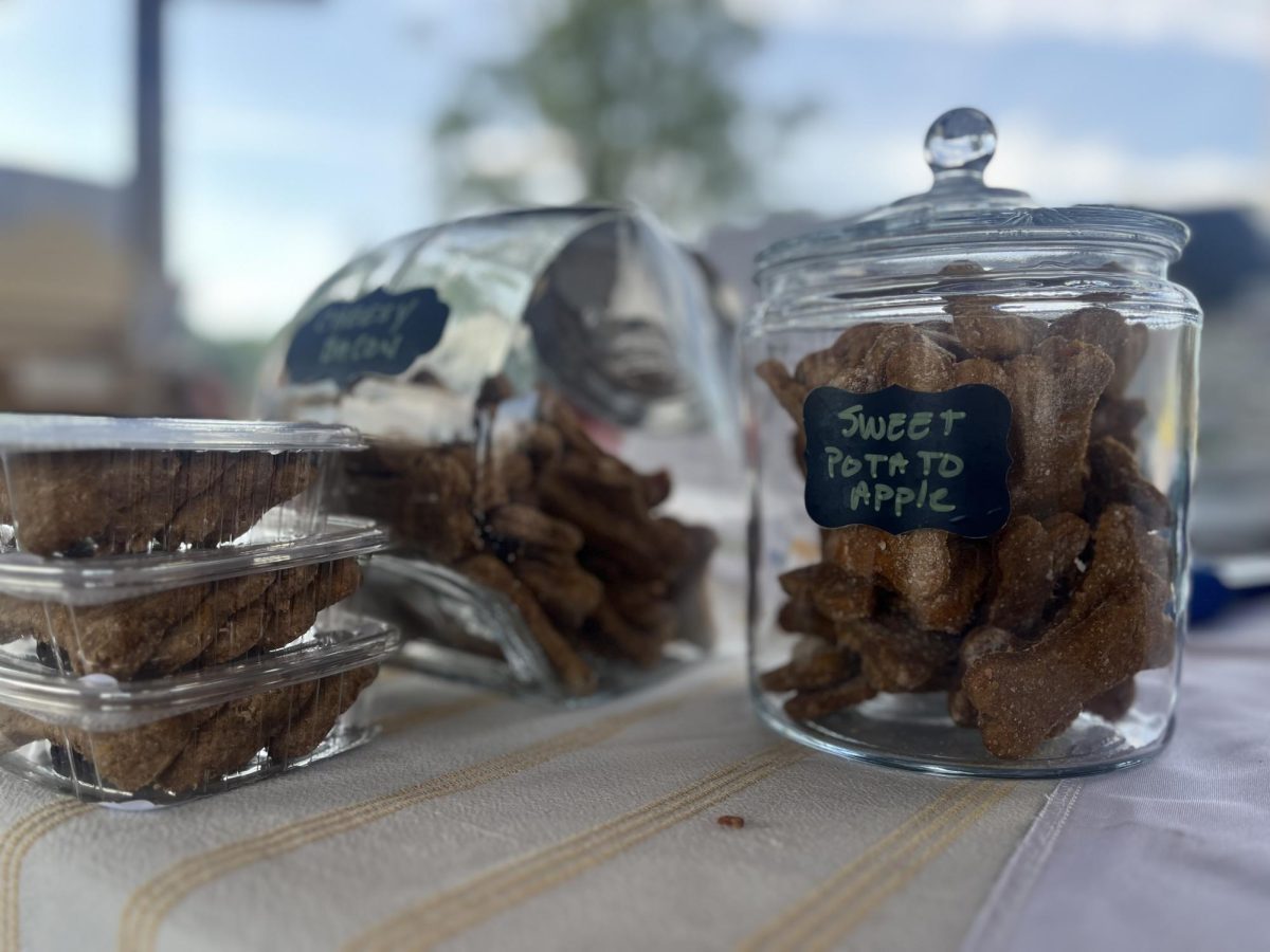 Clear glass jars perch idly on Thistle Hill Pet Treats’ front table at the Harrisonburg Farmers Market on Tuesday, July 9. With flavors from Sweet Potato Apple, to Cheesy Bacon, and many more, there is a flavor for every dog to enjoy. 