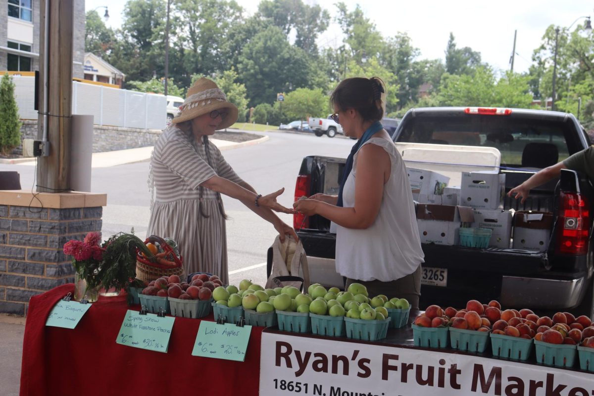 Theresa Kubasak, left, is spotted with a variety of fresh produce items, all organic from local farms. Kubasak has been purchasing food here for years, the quality of food and community being the main selling point. “It was deeper than an interaction of sustainable food and high-quality farm produce, but it was an embedded relationship with people that are in relationship with one another,” Kubasak said.

